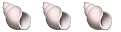 3 shell.png